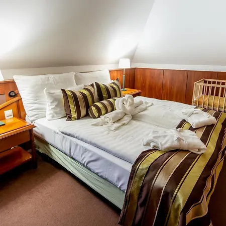 Nyerges Termal Superior Hotel Monor