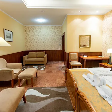 Nyerges Termal Superior Hotel Monor
