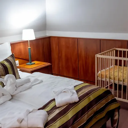 Nyerges Termal Superior Hotel 3*
