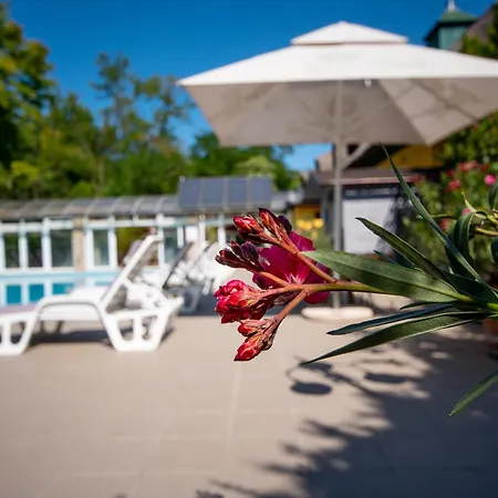 Nyerges Termal Superior Hotel